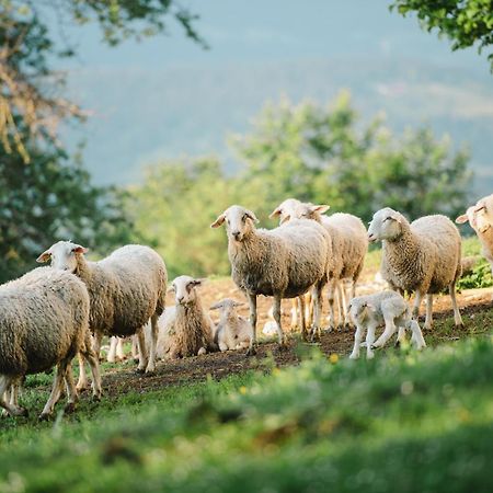 Eco Tourist Farm Ravnjak Slovinský Hradec Exteriér fotografie